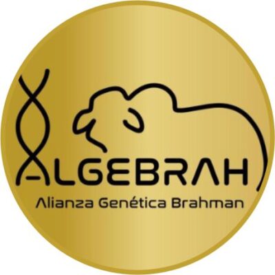 ALGEBRAH