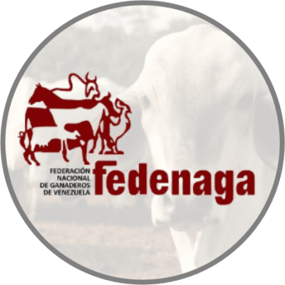 Fedenaga