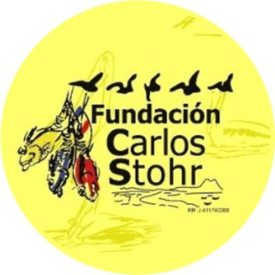 Carlos Stohr Fundación
