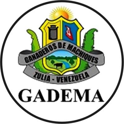 GADEMA