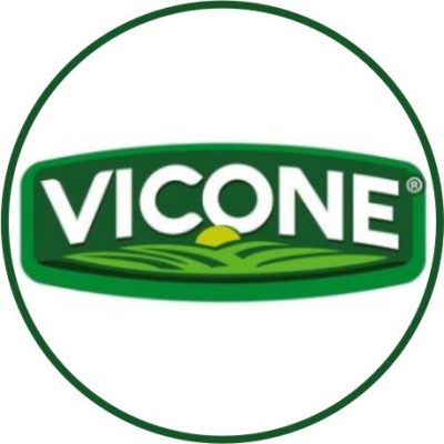 Vicone