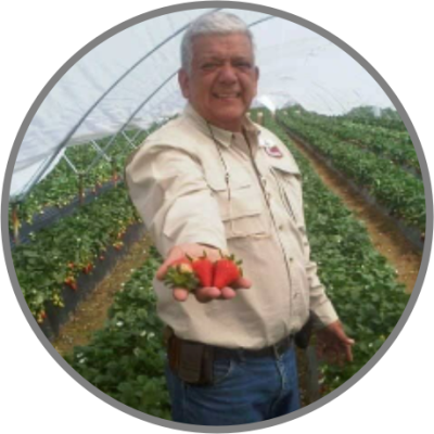 Ing. William Rojas