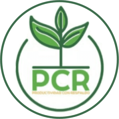 PCR