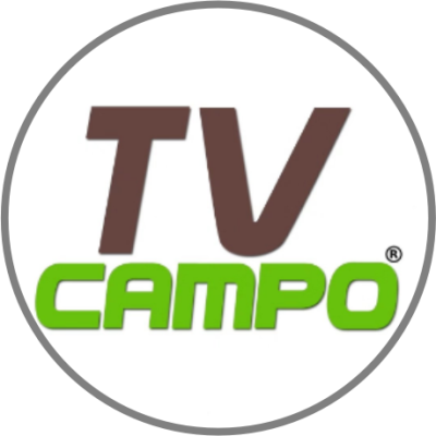 TV Campo