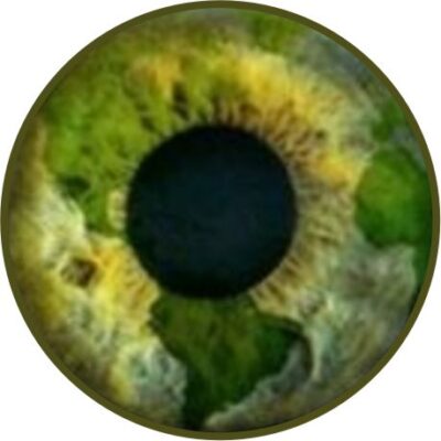 Verde la Tierra