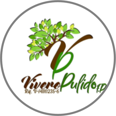 Vivero Pulido FP
