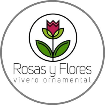 Rosas y Flores