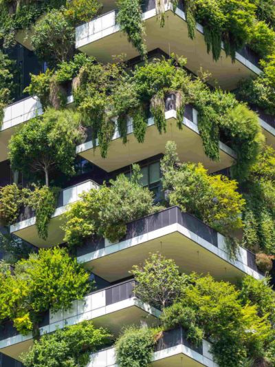 Arquitectura Ecológica